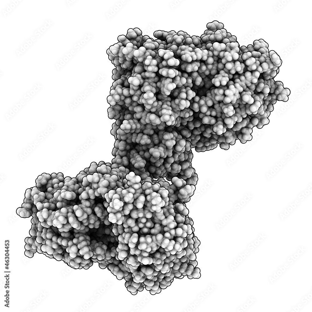 Wall mural Memapsin 2 (beta secretase) protein, chemical structure