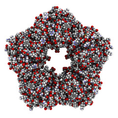 Human C-reactive protein (CRP), chemical structure.