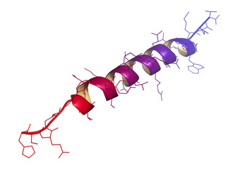 Glucagon peptide hormone molecule, chemical structure