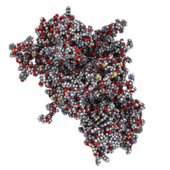 Coagulation factor VIII (FVIII) molecule, chemical structure