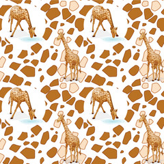 giraffe