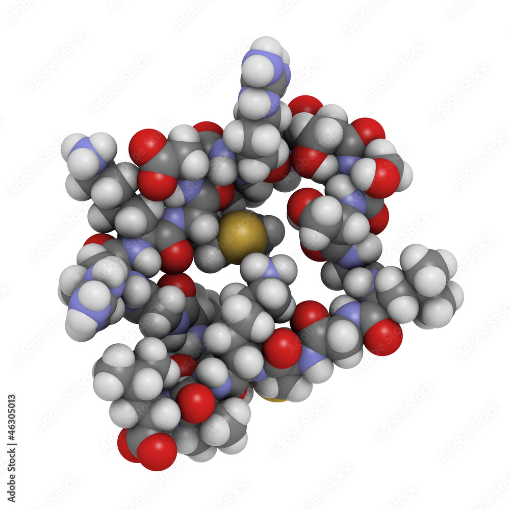 Sticker brain or b-type natriuretic peptide (bnp) molecule, chemical str