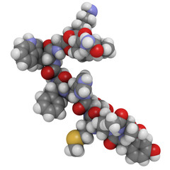 melanotropin (alfa-MSH, melanocyte stimulating hormone), chemica