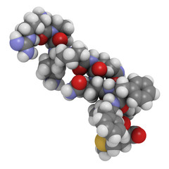 Substance P neuropeptide molecule, chemical structure.