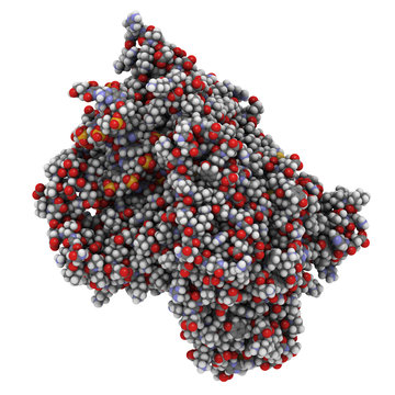 T7 RNA Polymerase In Complex With DNA And RNA.