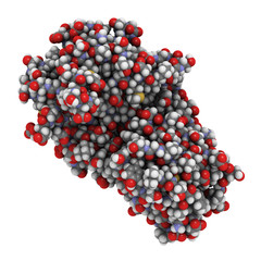 Pepsin enzyme molecule, chemical structure