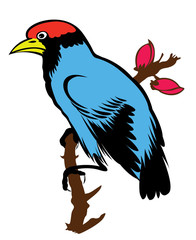 bird on white background