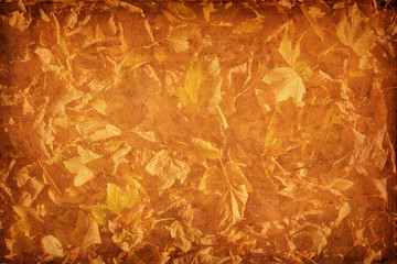 Naklejka na ściany i meble Bild von braunem Herbstlaub mit Textur