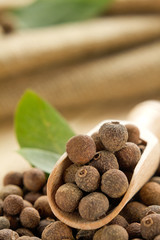 Allspice