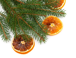 Fototapeta na wymiar gałą¼ jodły i suszonych pomarańczy