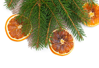 fir branch and dried oranges