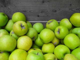 Harvest of golden apple, image 