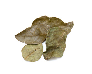 curry leaves