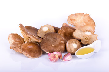 setas de cardo con ajo y aceite sobre fondo blanco