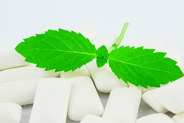 Mięta © katherine_gee