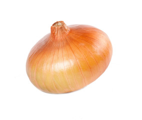 Onion on white background