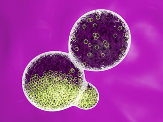 Fototapeta premium mauve molecules