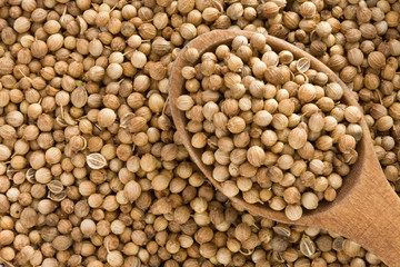 Coriander spices and spoon