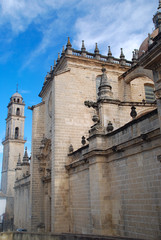 Fototapeta na wymiar Katedra Jerez de la Frontera, Cadiz. San Salvador