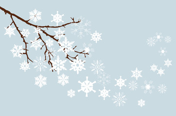 vector snow branch