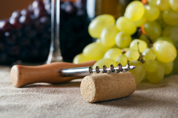 Closeup of corkscrew and cork