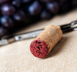 Closeup of corkscrew and cork