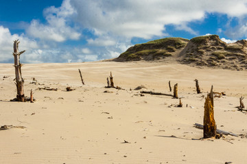 Famouse place in Poland. Dunes - Leba.
