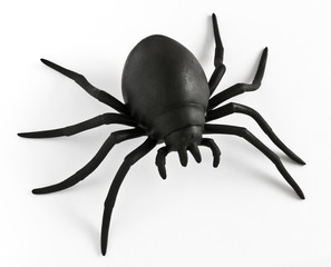 Black rubber spider toy
