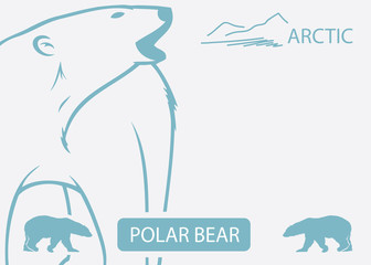 Polar bear background - vector illustration