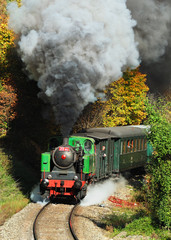 Obraz premium Jesienny pociąg parowy