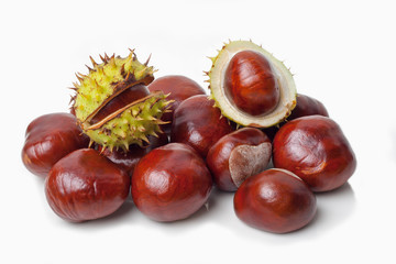 Chestnut