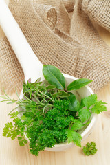 Küchenkräuter im Holzlöffel