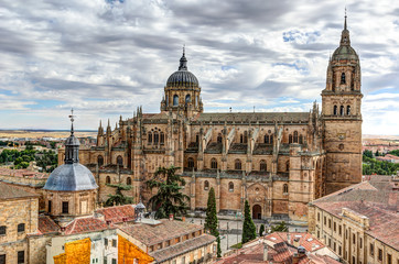 view to the Cathedral of Salamanca, Spain - obrazy, fototapety, plakaty