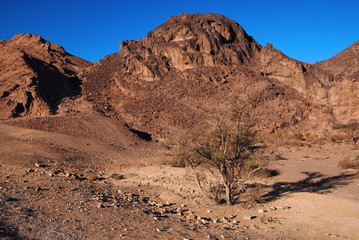 The landscape of Ramon crater Israel