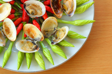 Shell