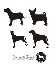 animal icons