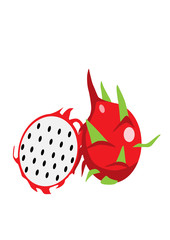 Dragon fruit vector