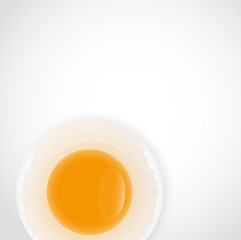 Broken Egg Background Vector