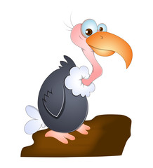 Valture Vector Illustration