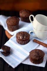 Chocolate cupcakes