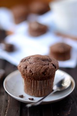 Chocolate cupcakes