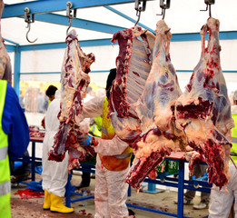carcass meat hanging hook