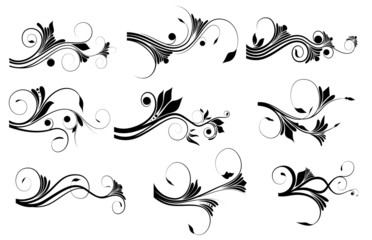 Floral Elements Collection