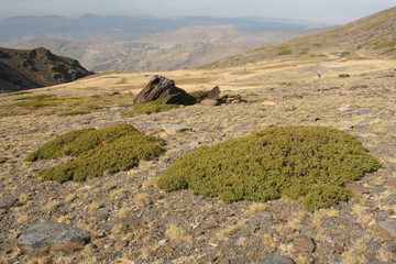 Sierra Nevada National Park in Andalusia