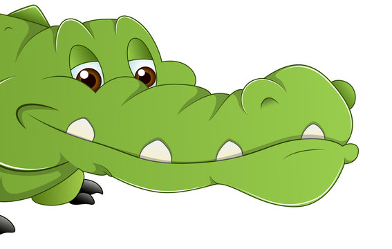 Alligator Vector