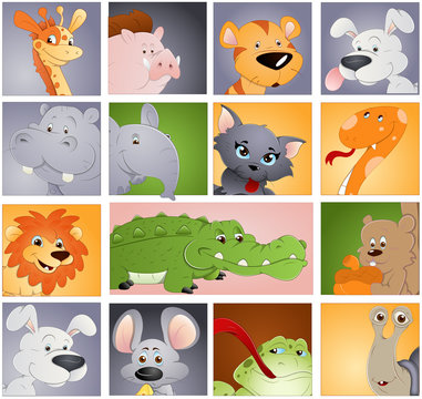Animals Vectors - Profile Icon Concept