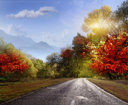 Road, asphalt, autumn