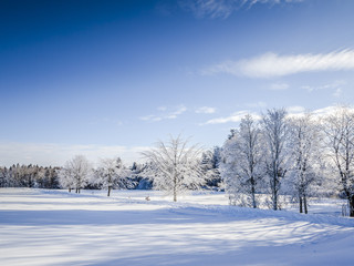 Fototapeta na wymiar Krajobraz zimowy