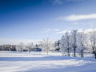 winter scenery