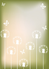 white dandelions and butterflies on light background